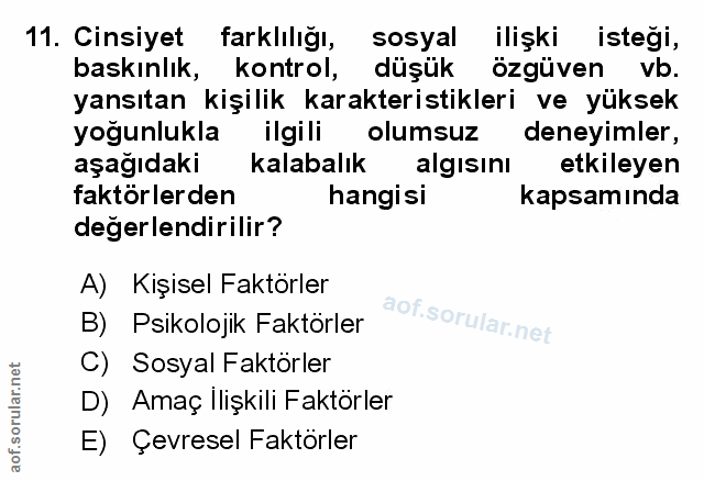 Soru 11