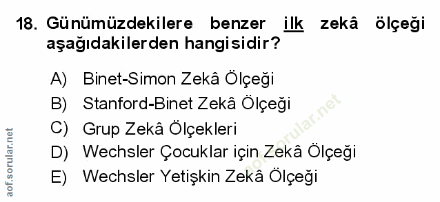 Soru 18