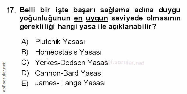 Soru 17