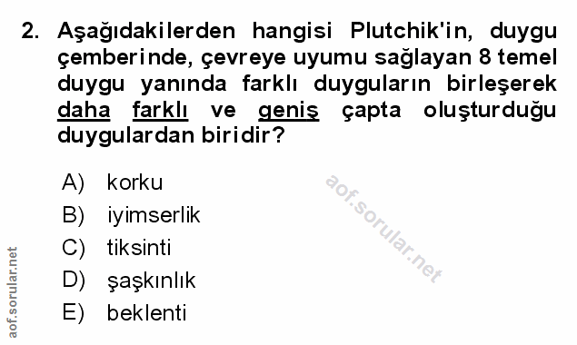 Soru 2