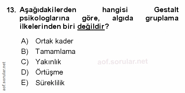 Soru 13