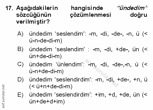 Soru 17