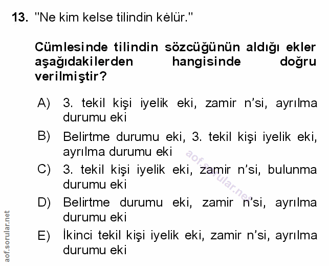 Soru 13