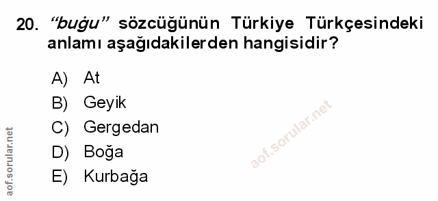 Soru 20