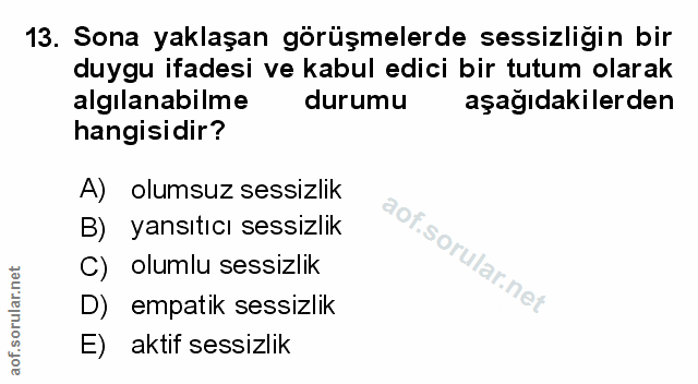 Soru 13