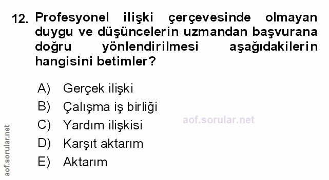 Soru 12