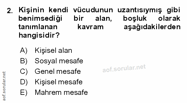 Soru 2