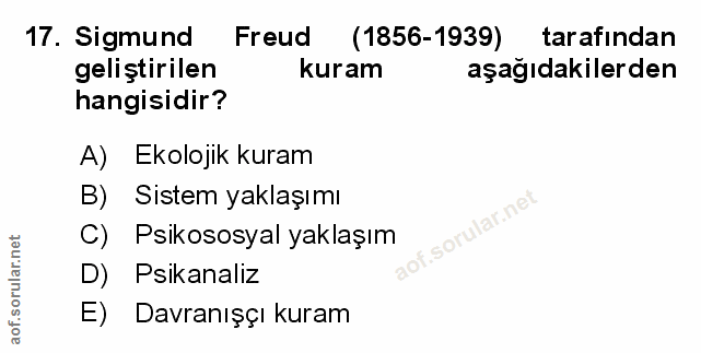 Soru 17