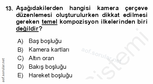 Soru 13