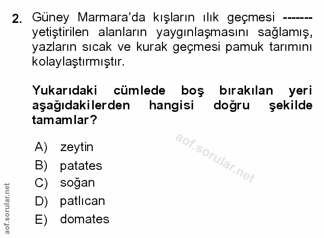 Soru 2