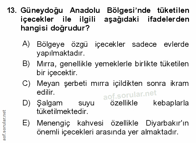 Soru 13