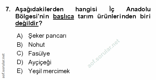Soru 7