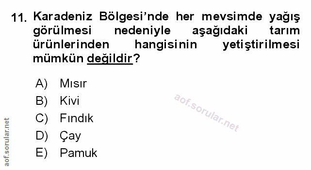 Soru 11