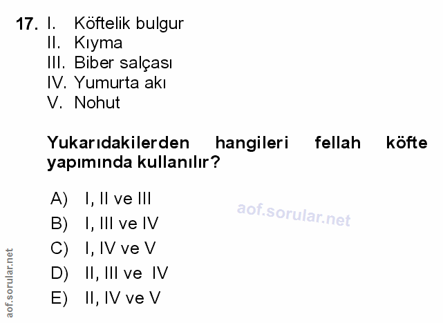 Soru 17