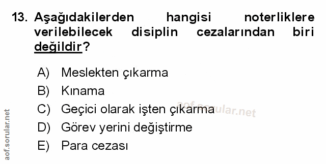 Soru 13