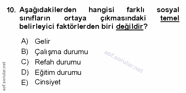 Soru 10