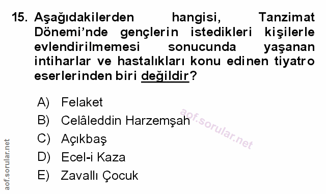 Soru 15