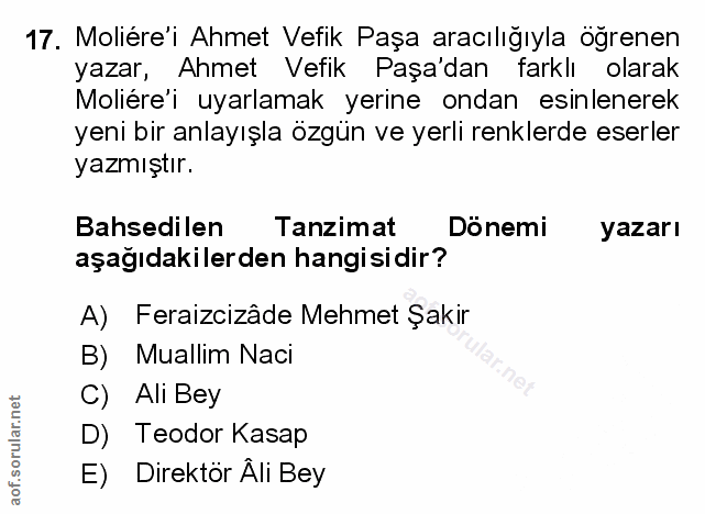 Soru 17