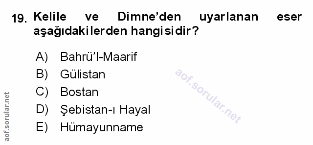 Soru 19