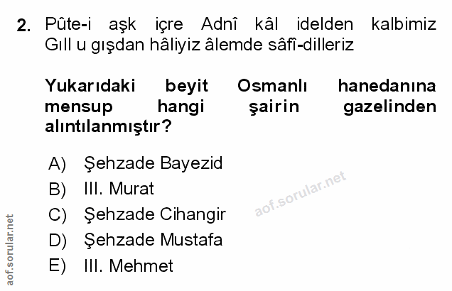 Soru 2