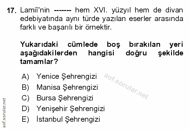 Soru 17