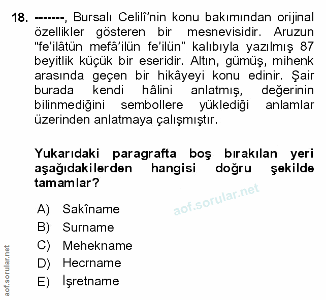 Soru 18