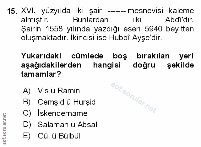 Soru 15