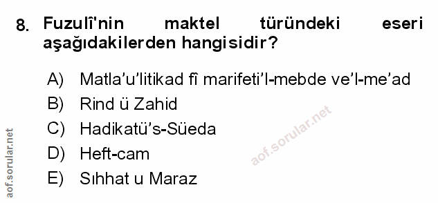 Soru 8