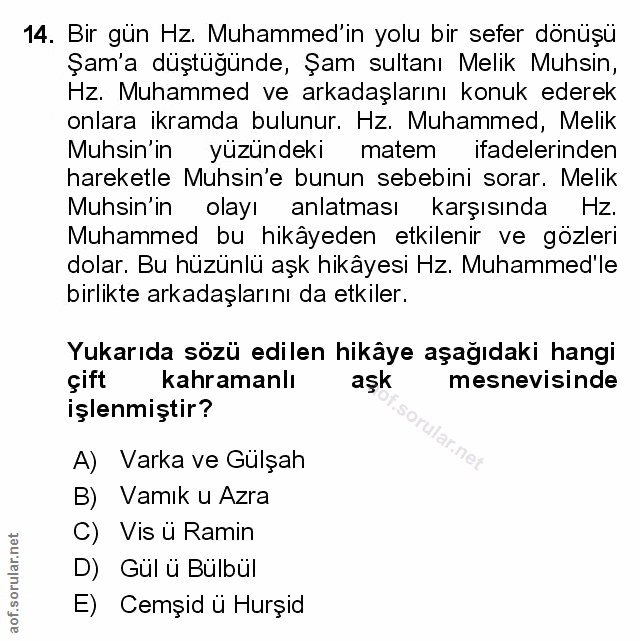 Soru 14