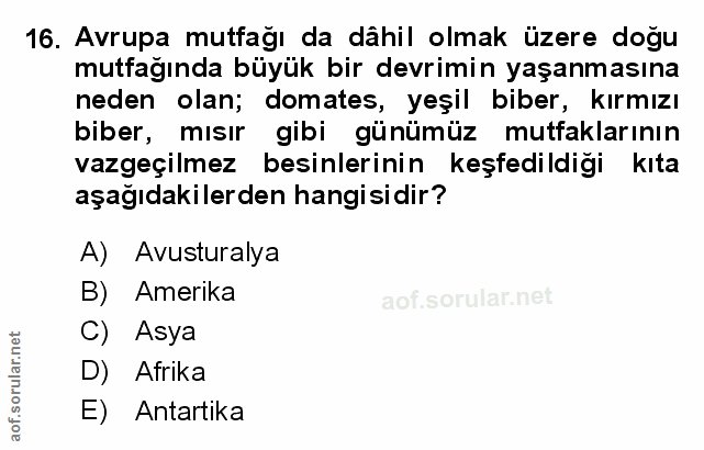 Soru 16