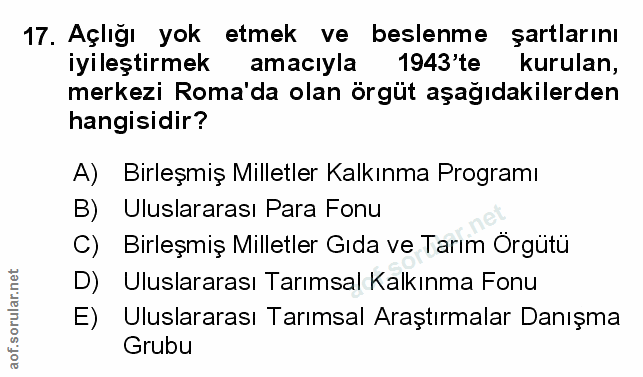 Soru 17