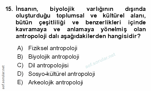 Soru 15
