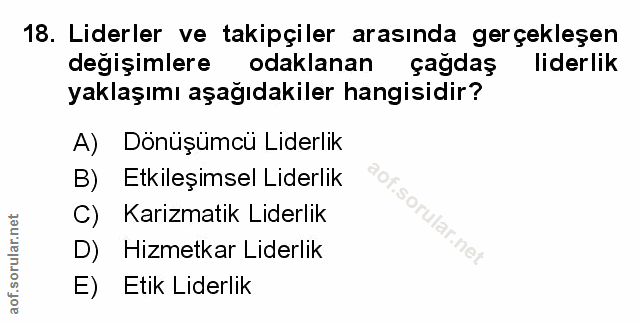 Soru 18