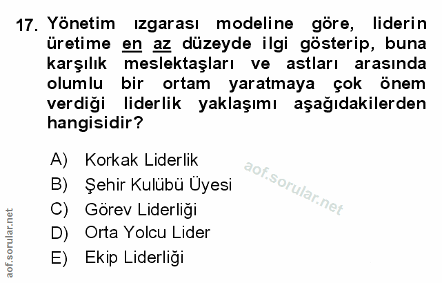 Soru 17