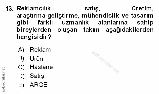 Soru 13