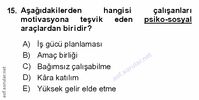 Soru 15