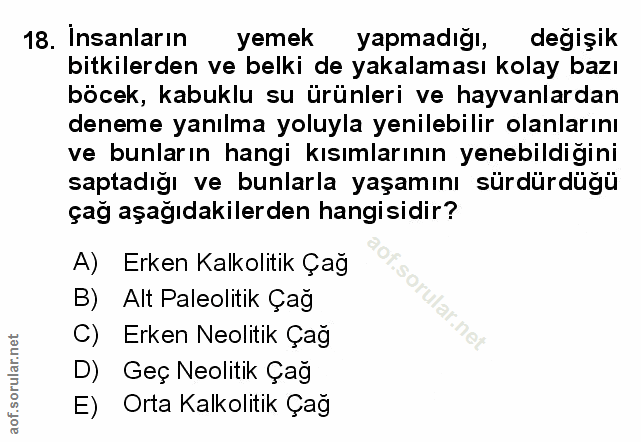 Soru 18