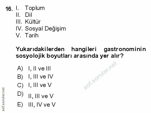Soru 16