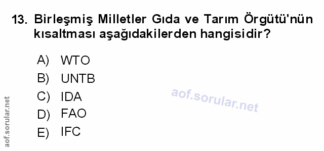 Soru 13