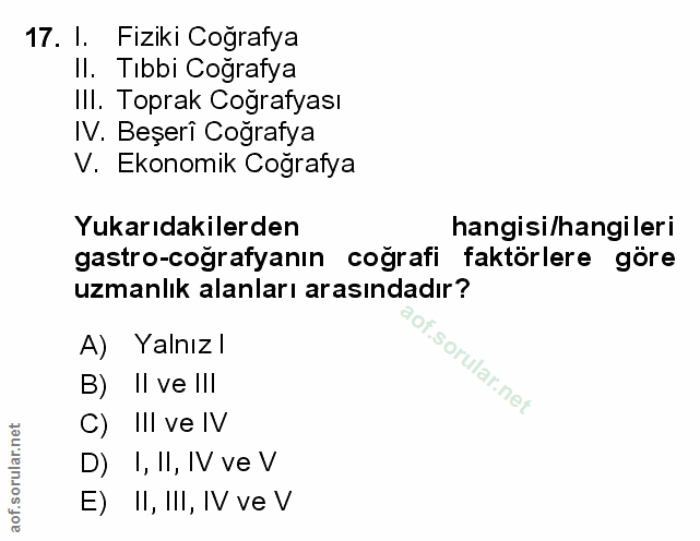 Soru 17