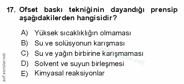 Soru 17
