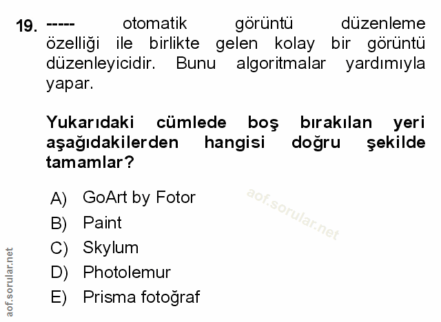 Soru 19