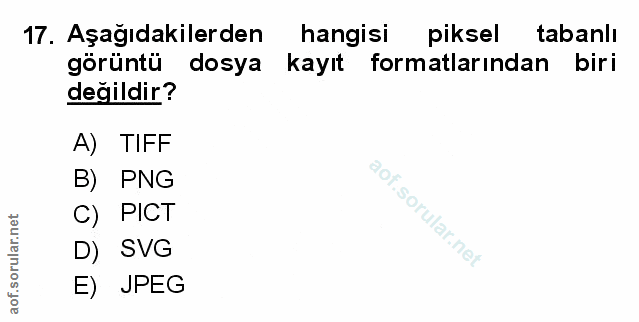 Soru 17