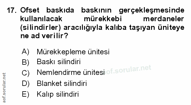Soru 17