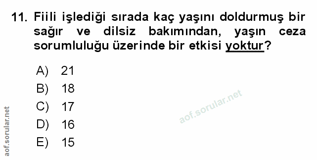 Soru 11