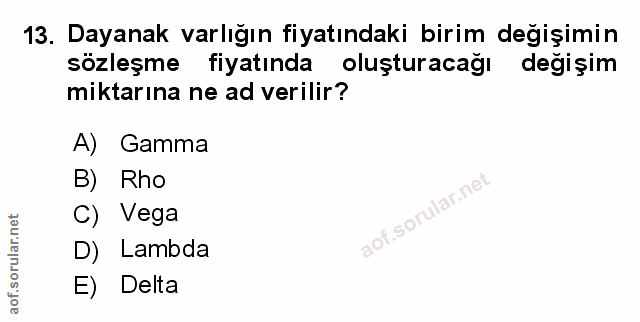 Soru 13