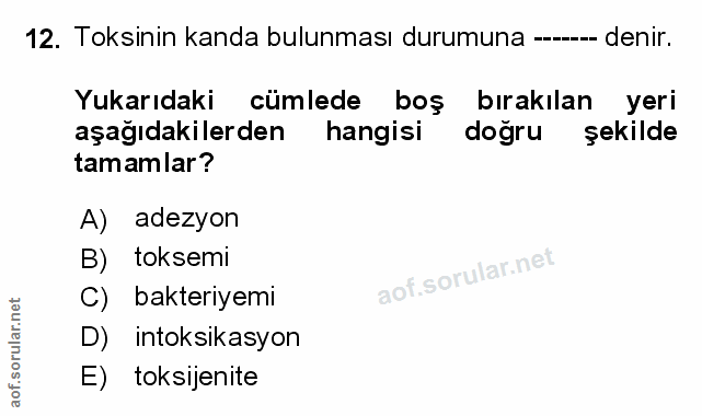 Soru 12