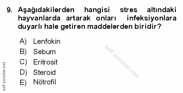 Soru 9