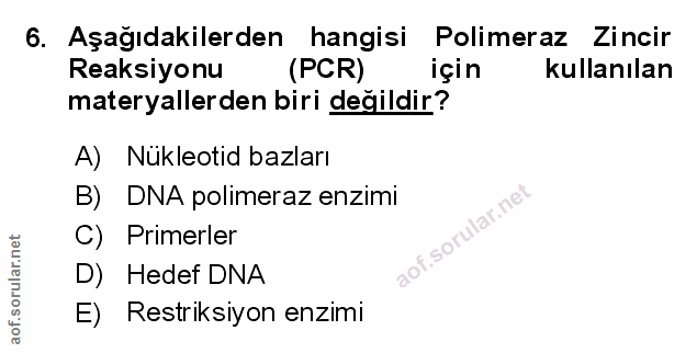 Soru 6