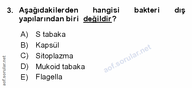 Soru 3